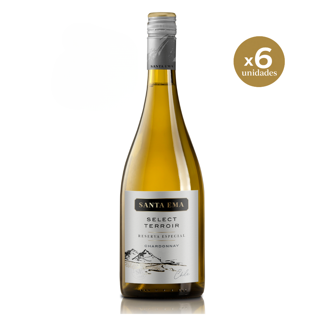 Select Terroir Chardonnay | Caja de 6 unidades - 750 mL
