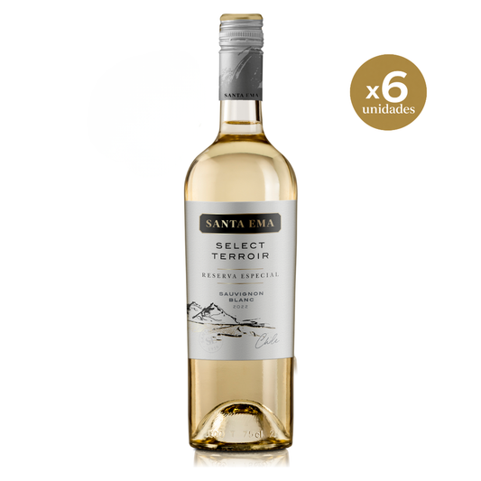 Select Terroir Sauvignon Blanc | Caja de 6 unidades - 750 mL