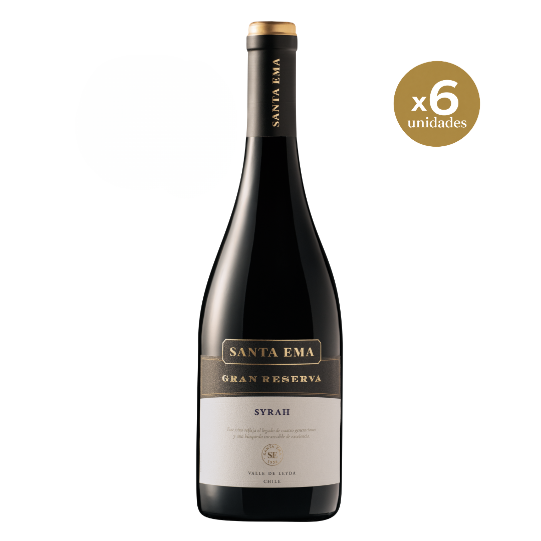 Gran Reserva Syrah | Caja de 6 unidades - 750 mL
